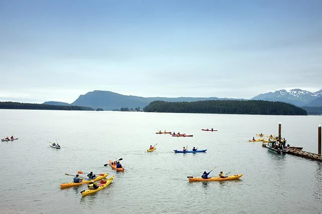 Group of sea kayakers paddling across a calm bay near Juneau with forested islands in the distance