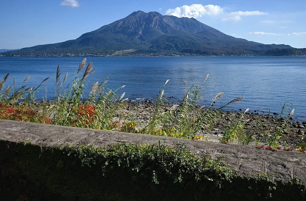 Sengan-en Garden entrance gate with traditional Japanese architecture and tree-lined approach