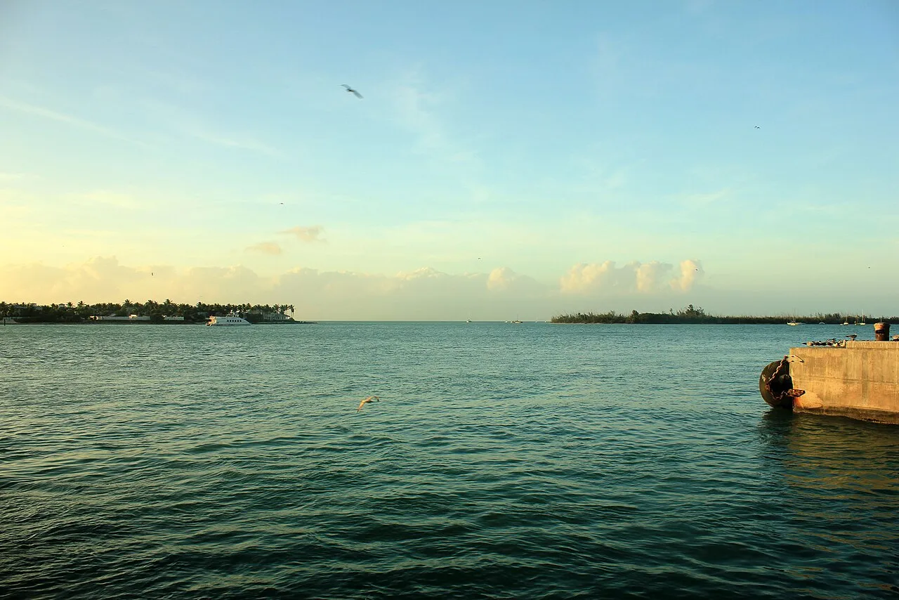 Key West harbor with boats and palm trees