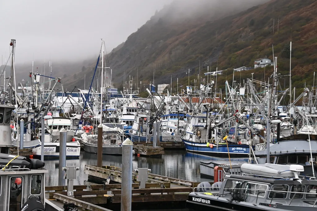 View of Kodiak harbor with boats and waterfront buildings against a mountain backdrop