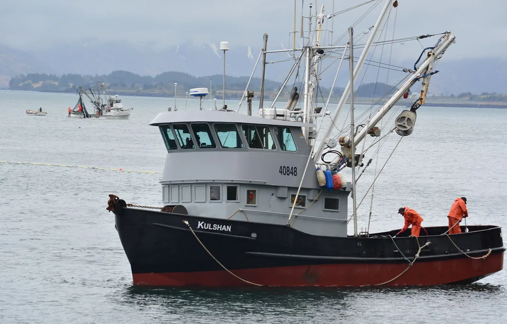 Commercial fishing seiners working the waters near Kodiak Island