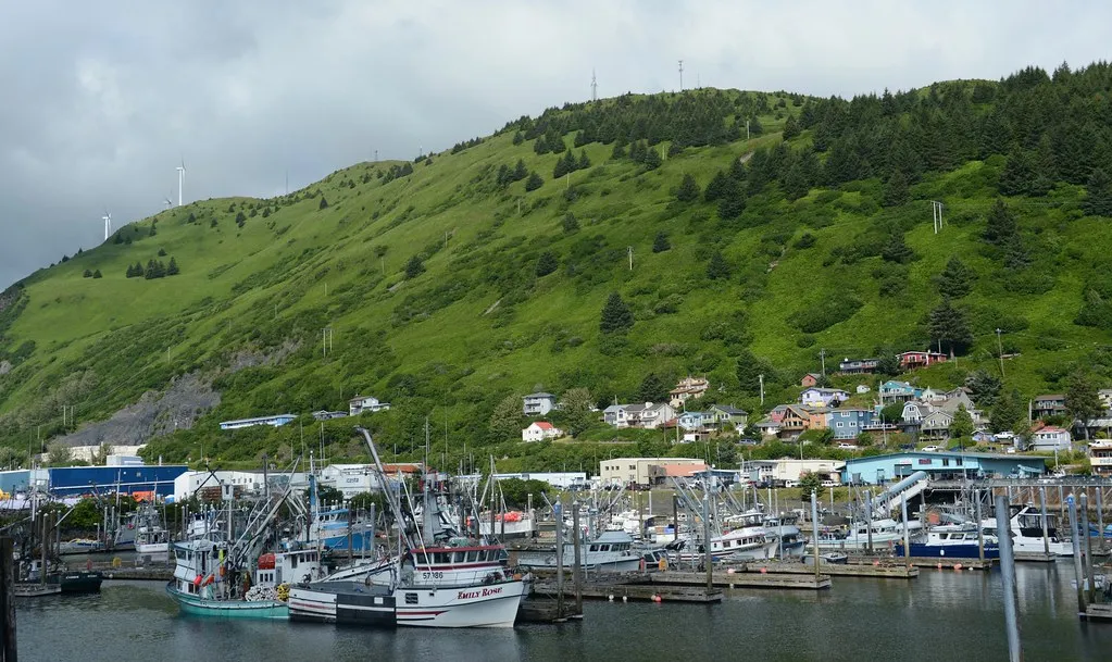 Kodiak harbor with fishing boats and mountains in the background