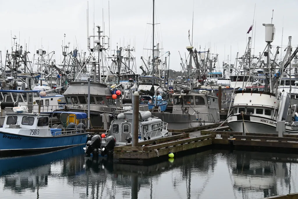 Kodiak harbor with fishing boats moored along the docks and green mountains rising behind the town