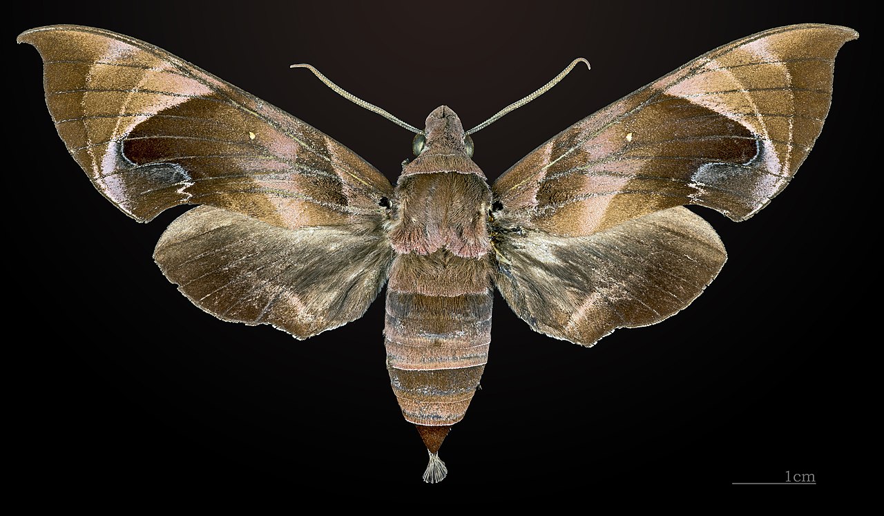 Central Market heritage building facade in Kuala Lumpur with art deco architecture and colourful signage
