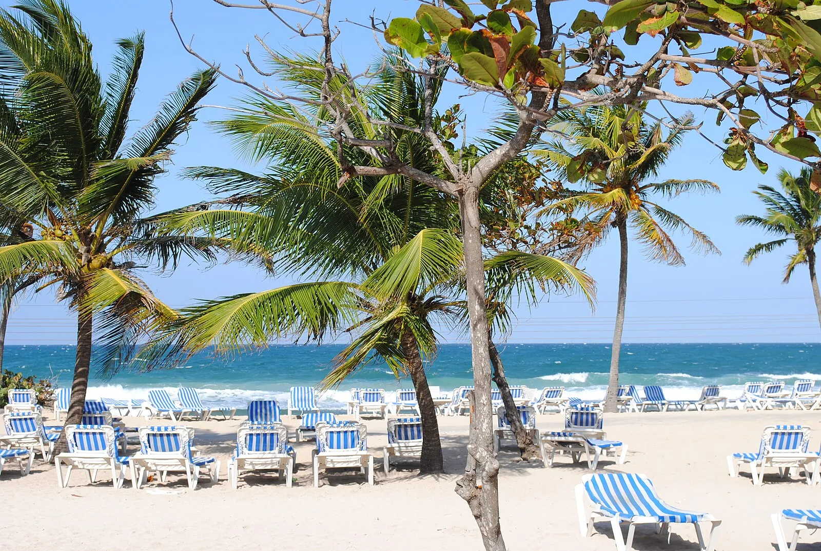 Dragon's Breath zip line launch area at Labadee Haiti