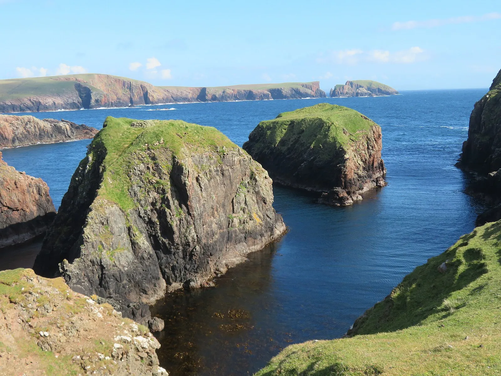 Grass-topped sea stacks off the Shetland coast with dramatic cliff backdrop