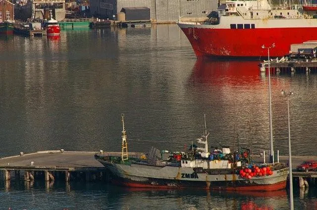 Lyttelton cultural highlight