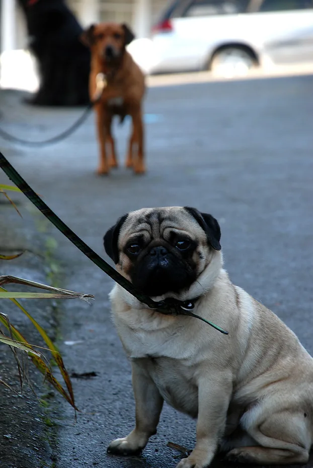 Street scene in Lyttelton