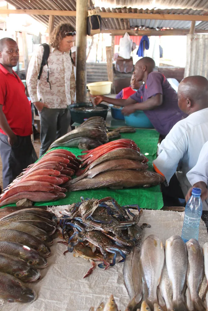 A plate of massive peri-peri prawns grilled over charcoal at a Maputo waterfront restaurant