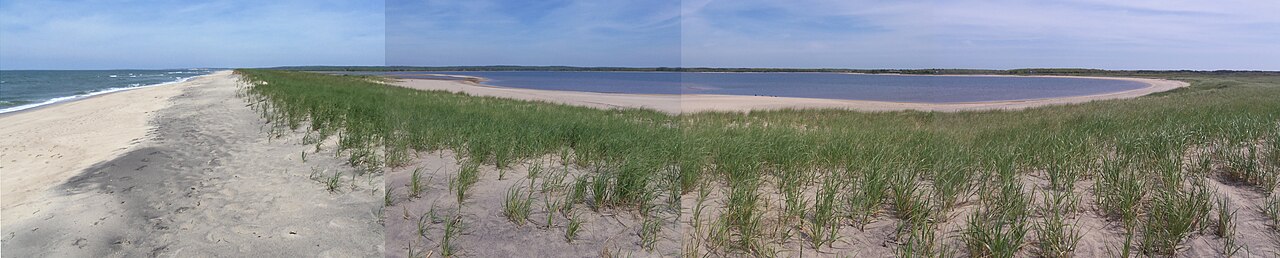 Panoramic view of Martha's Vineyard beach with dunes and coastal lagoon