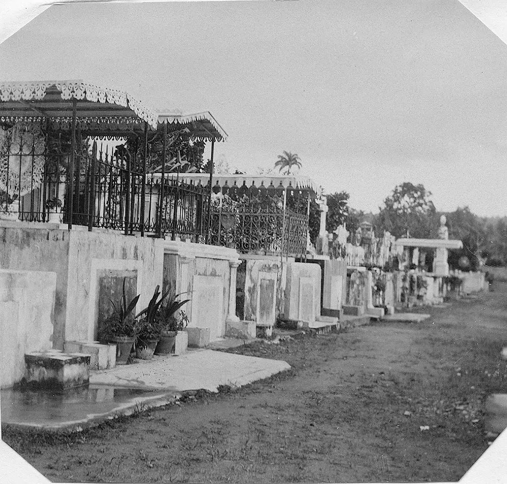 Waterfront promenade in Fort-de-France with palm trees and shops
