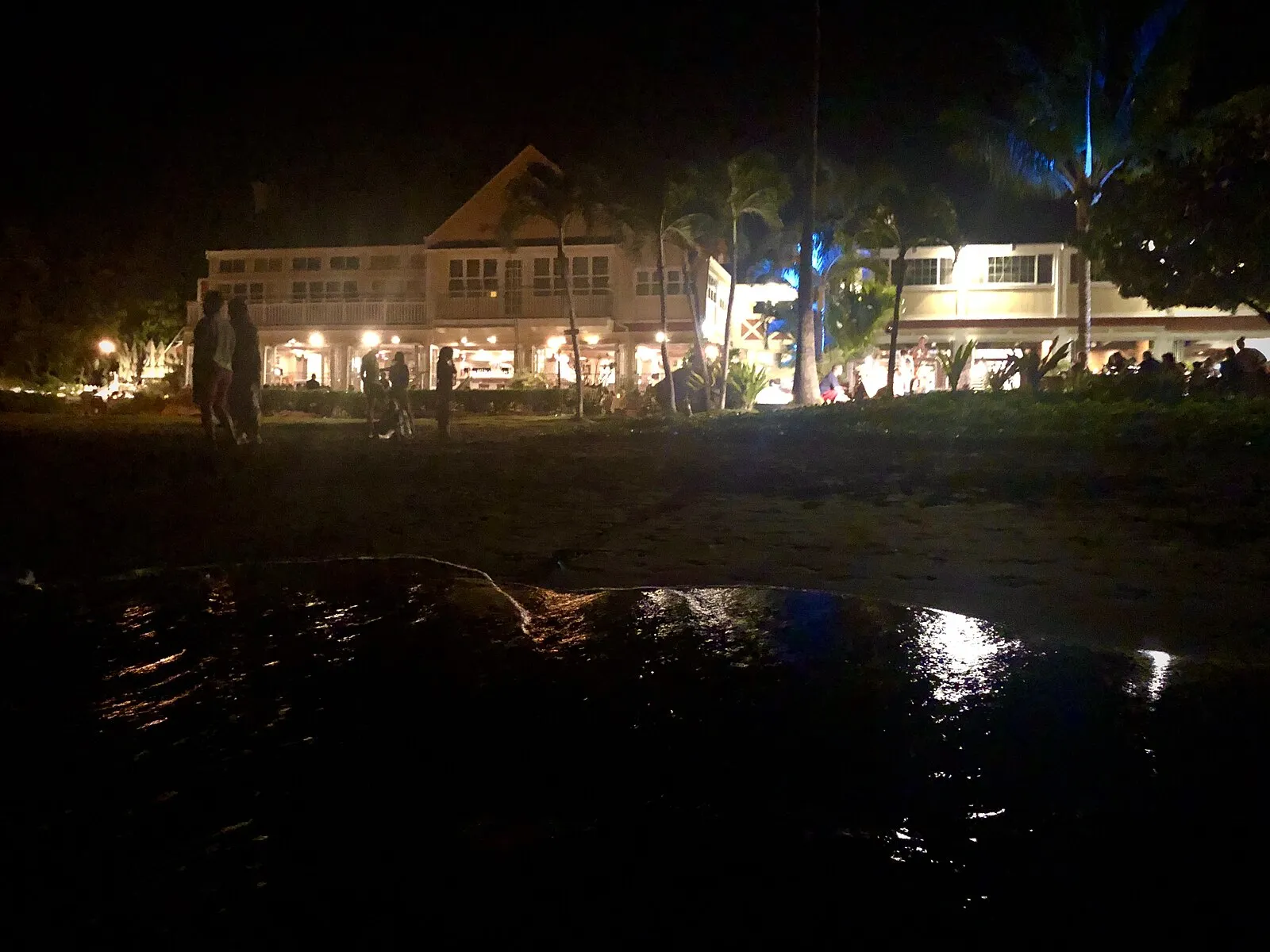 Road to Hana winding through lush tropical rainforest canopy