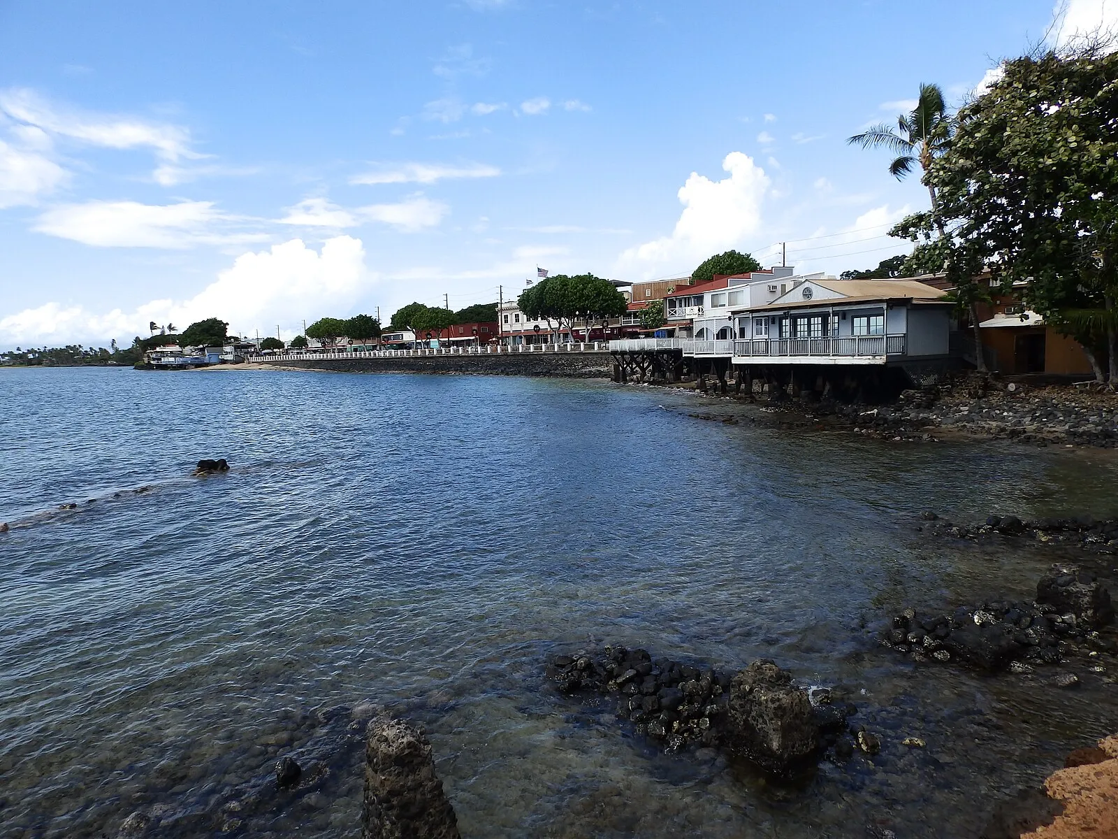 Golden sand beach on Maui's west shore with turquoise waters and palm trees