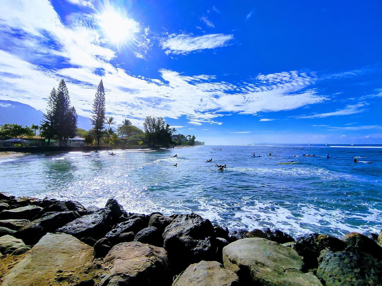 Upcountry Maui lavender fields stretching across hillside at 3000 feet elevation