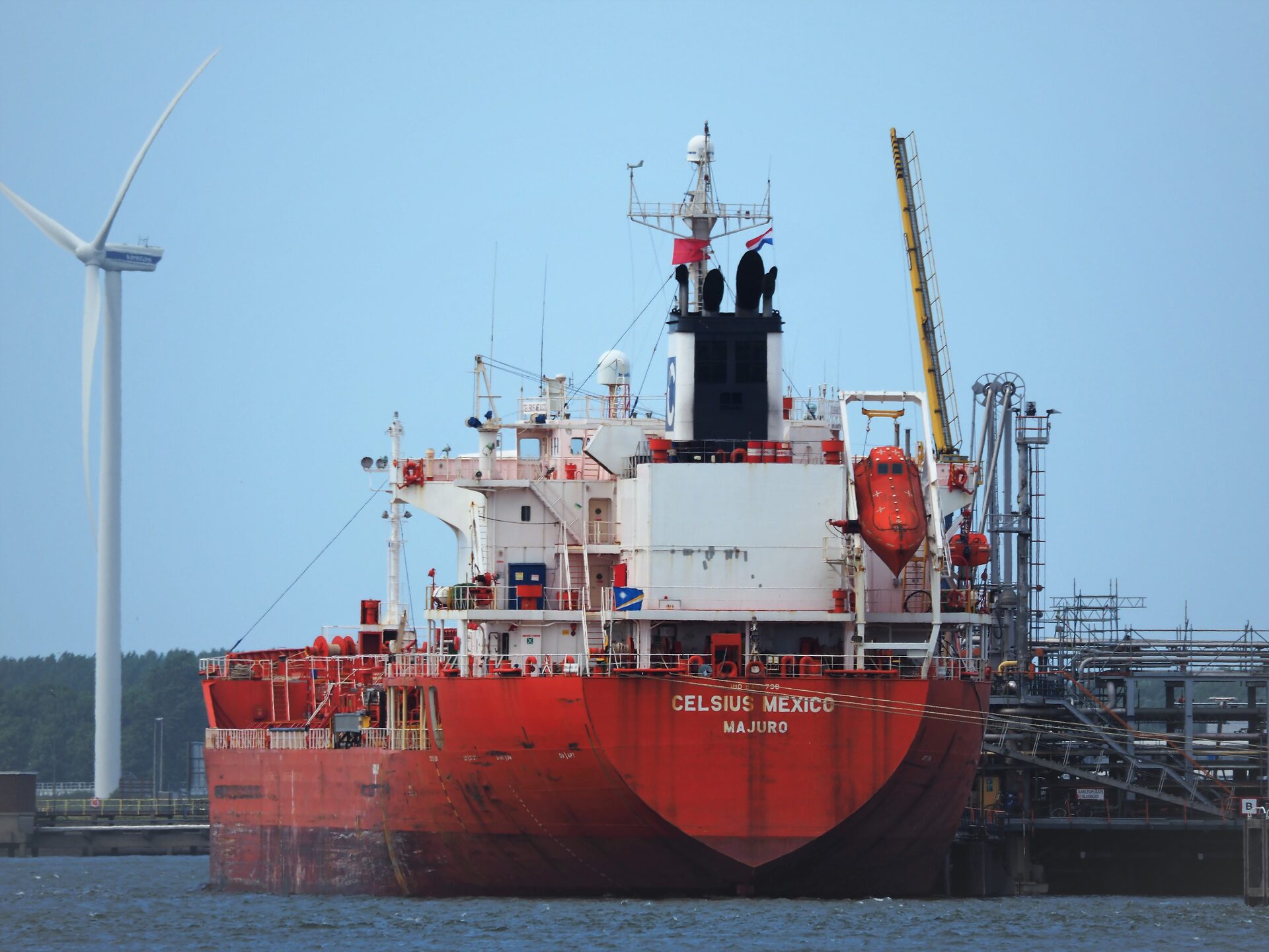 Fresh seafood ceviche served at a local restaurant