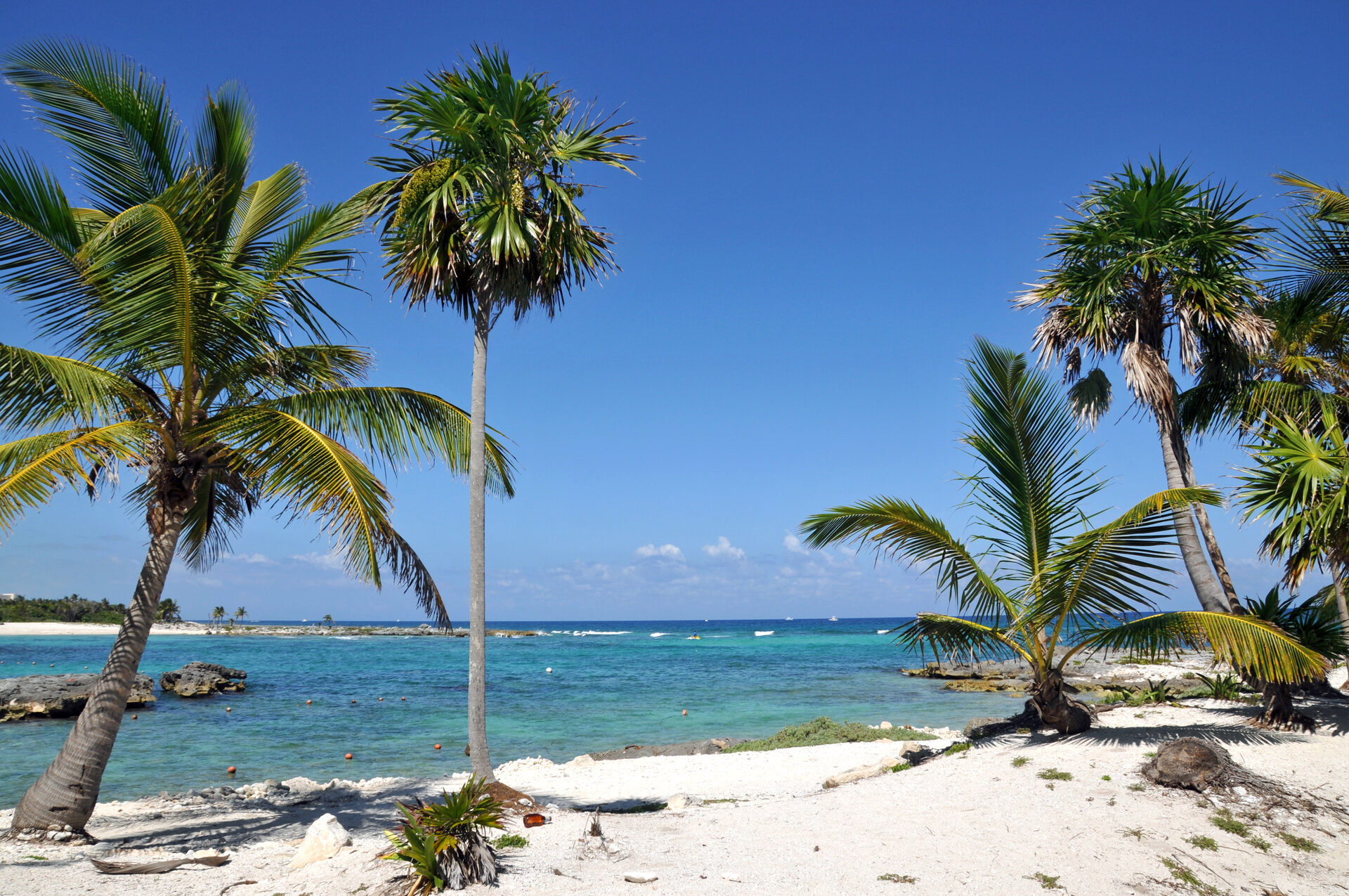 Interior of Teatro Angela Peralta showing ornate ceiling, velvet seats, and Italian-style opera house architecture
