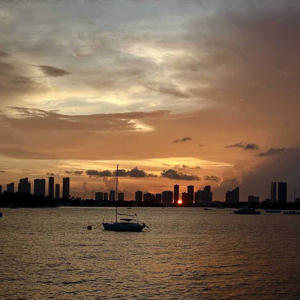 PortMiami harbor view with cruise ships docked along Government Cut channel