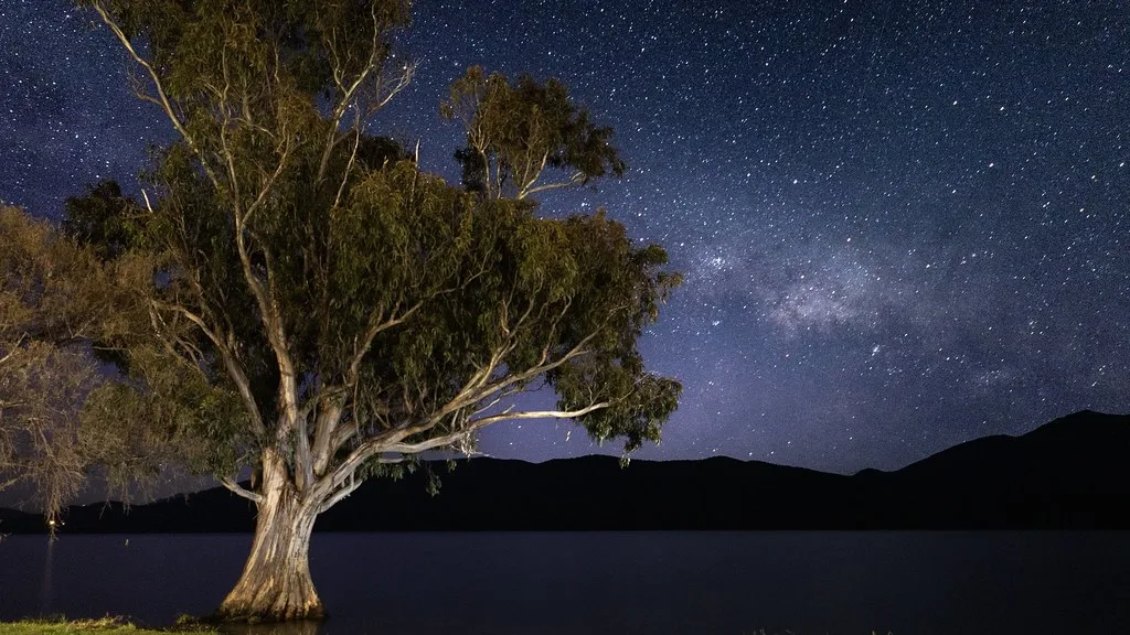 Stirling Falls cascading down sheer rock face into the dark waters of Milford Sound