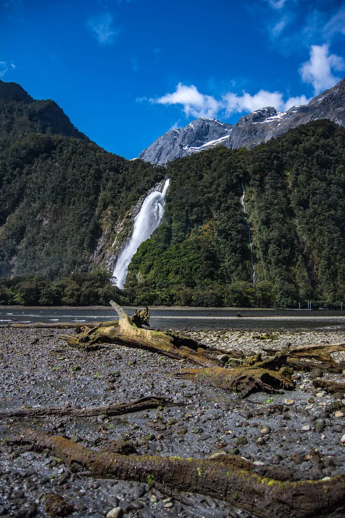 Dense temperate rainforest clinging to steep granite cliffs above the dark waters of the fjord