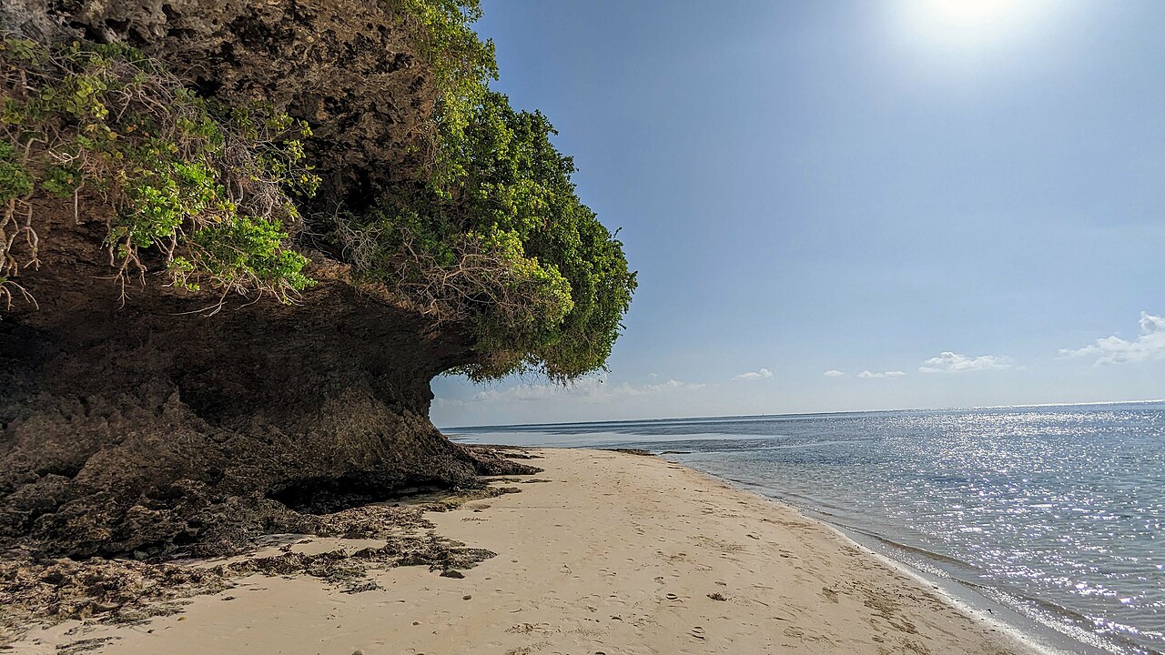 Mombasa coastline with warm Indian Ocean waters lapping white sand and palm trees