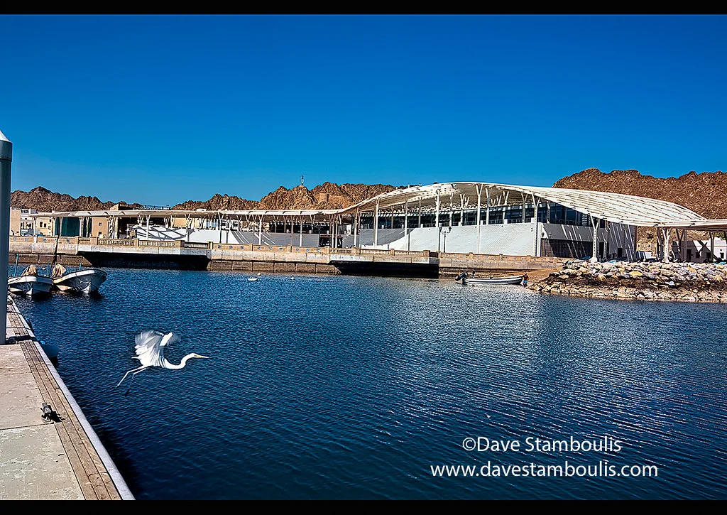 Panoramic view of Muscat coastline showing whitewashed buildings between mountains and sea