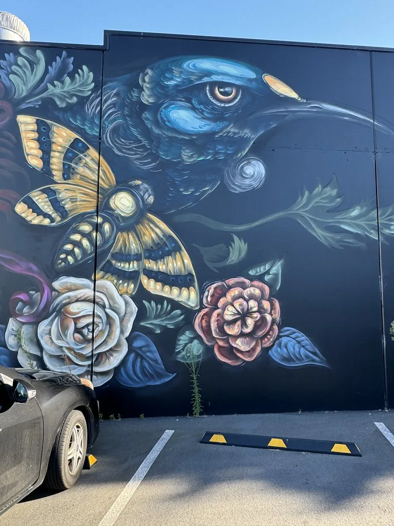 Street scene showing Art Deco facades in Napier's historic quarter