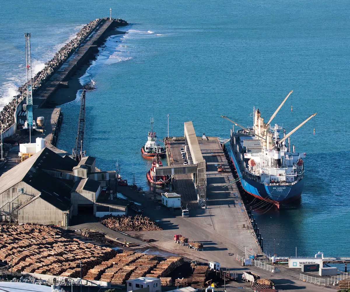 Elevated view of Port Taranaki showing a bulk carrier berthed alongside the wharf with two tugs nearby, stacked export logs filling the yard, and the curving rock breakwater running out to sea beyond