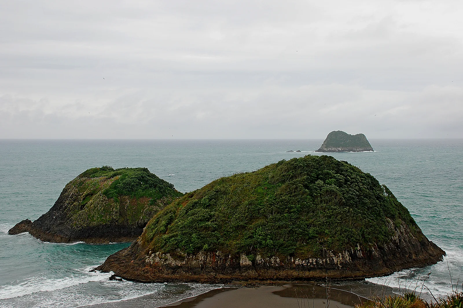 Two green-topped rocky islets close inshore with a third further out to sea, seen from a headland above a dark sand beach under an overcast sky