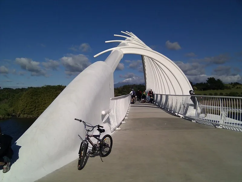 The white steel arch of Te Rewa Rewa Bridge curving over a concrete deck, its ribs splaying like a whale skeleton against a blue sky, with cyclists crossing and the faint outline of Taranaki Maunga framed within the arch