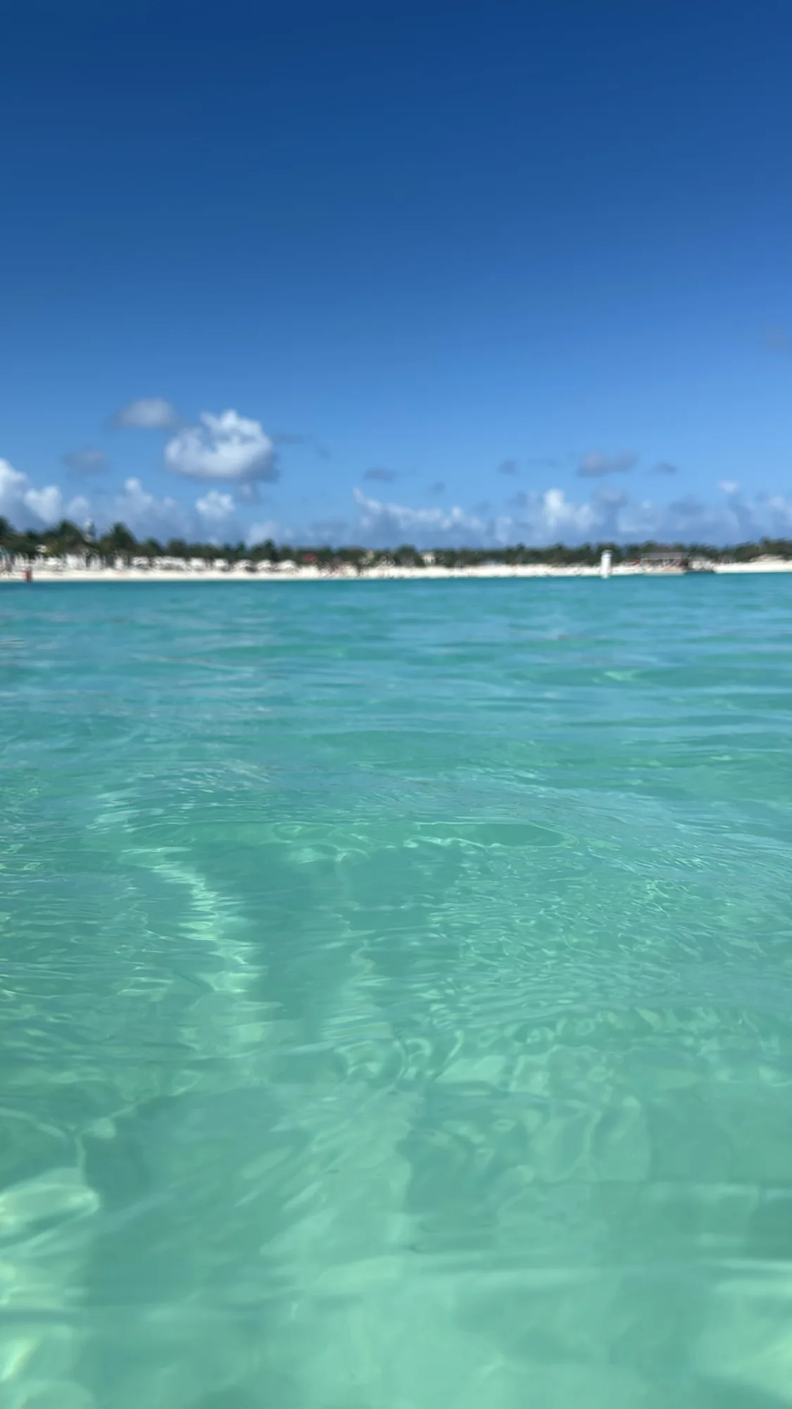 Eye-level-with-the-water view from inside the Ocean Cay swim lagoon