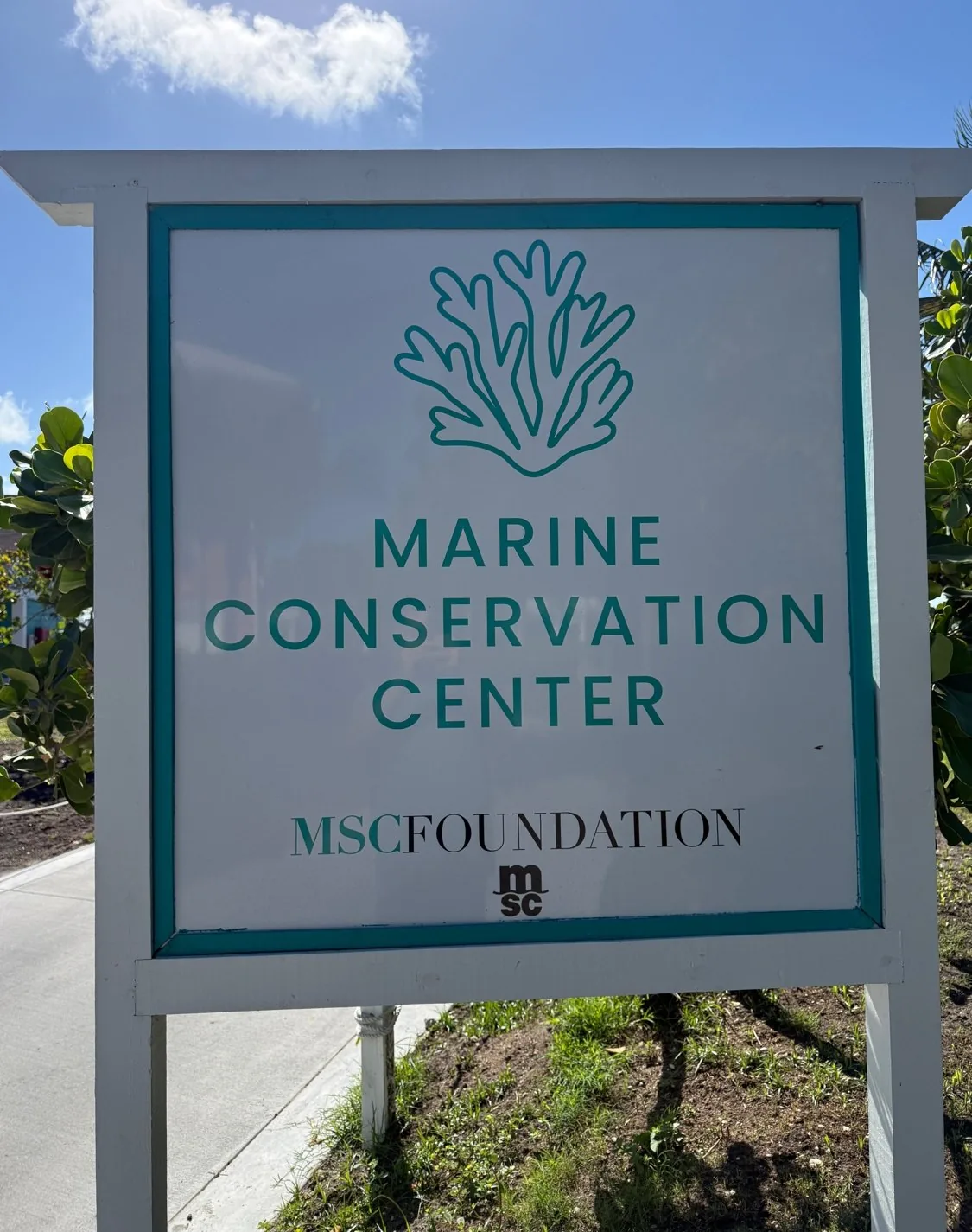 The Marine Conservation Center signboard at Ocean Cay, MSC Foundation, set on a paved walkway under tropical greenery