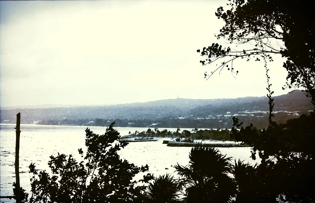 Dunn's River Falls cascading over limestone terraces surrounded by tropical jungle near Ocho Rios, Jamaica