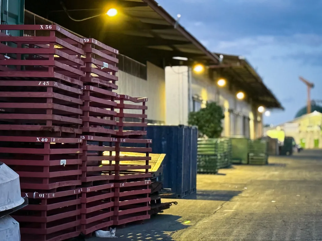 Papeete cultural highlight