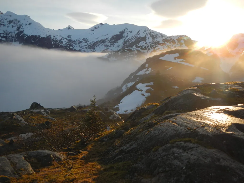 LeConte Glacier calving ice into LeConte Bay near Petersburg