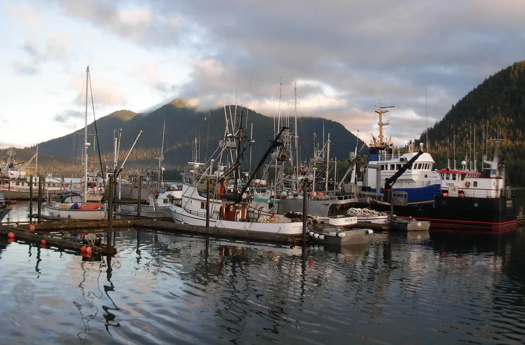 Commercial fishing boats moored in Petersburg harbor with mist over the water