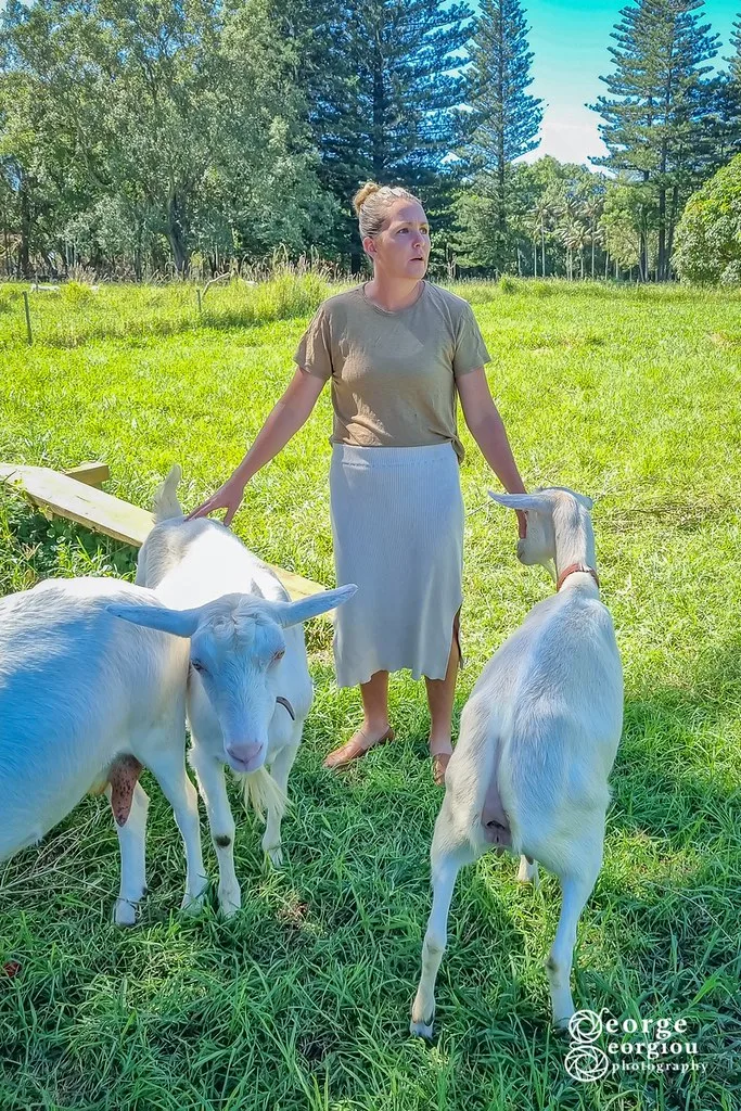 Panoramic view of Pitcairn