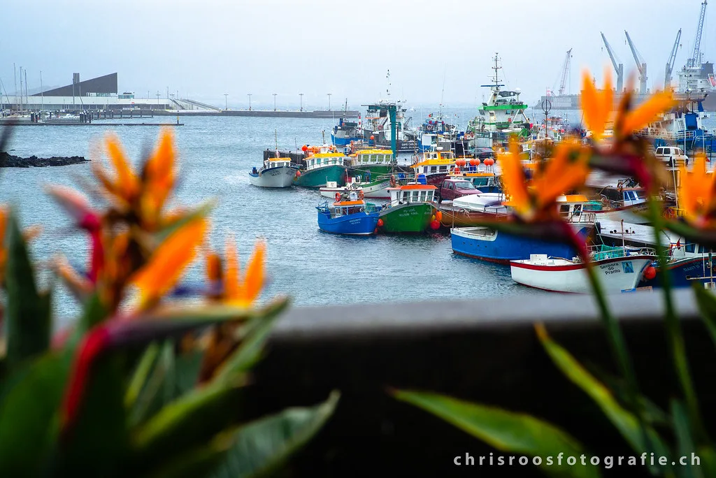 Ponta Delgada popular attraction