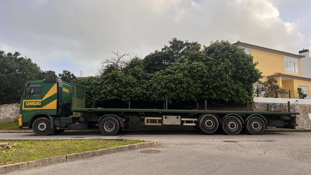 Algar Seco rock formations sculpted by wind and waves near Praia da Rocha