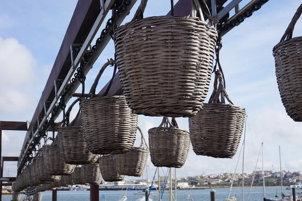 Charcoal-grilled sardines served on a wooden board with potatoes and salad