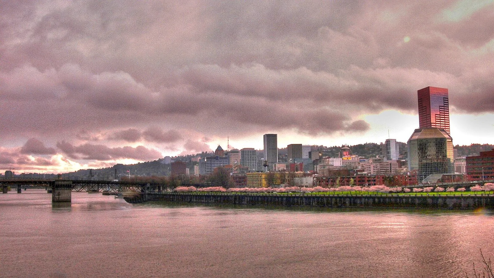 Portland skyline across the Willamette River with cherry blossoms and Burnside Bridge