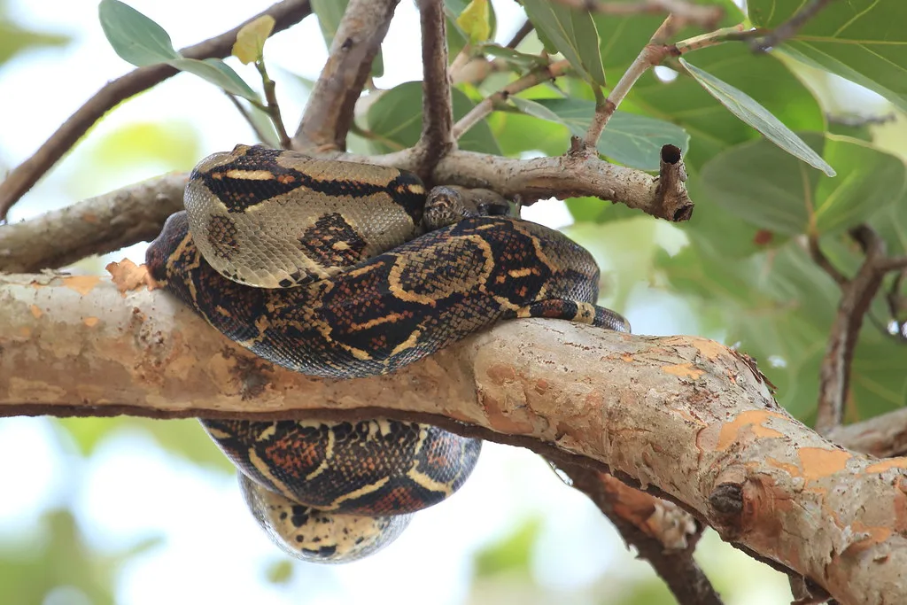 Puerto Limon harbor and waterfront