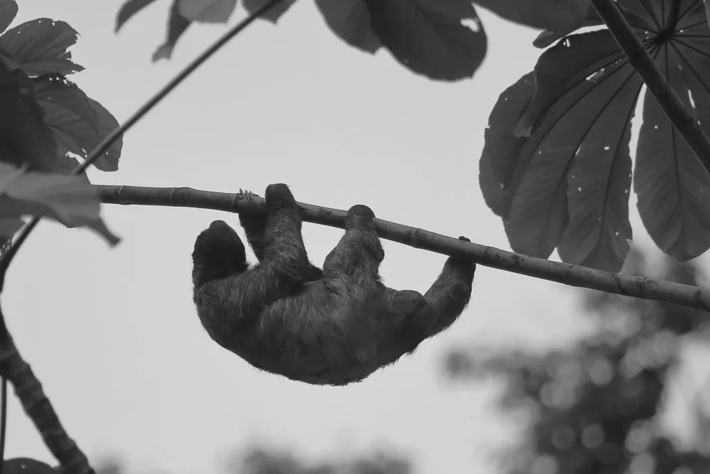 Puerto Limon iconic landmark