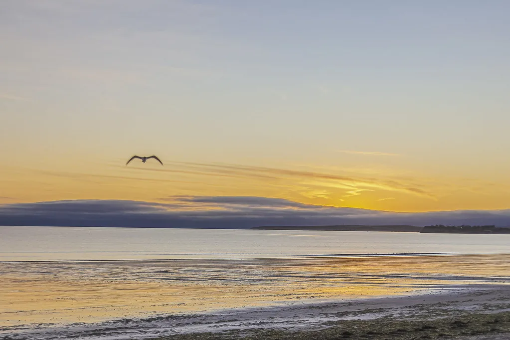 Puerto Madryn harbor and waterfront