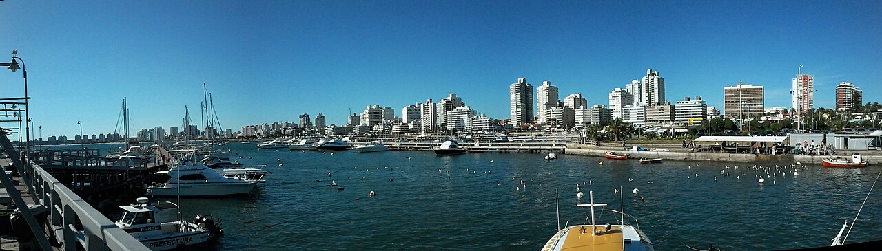 Panoramic view of Punta del Este marina with yachts and white high-rise buildings along the waterfront