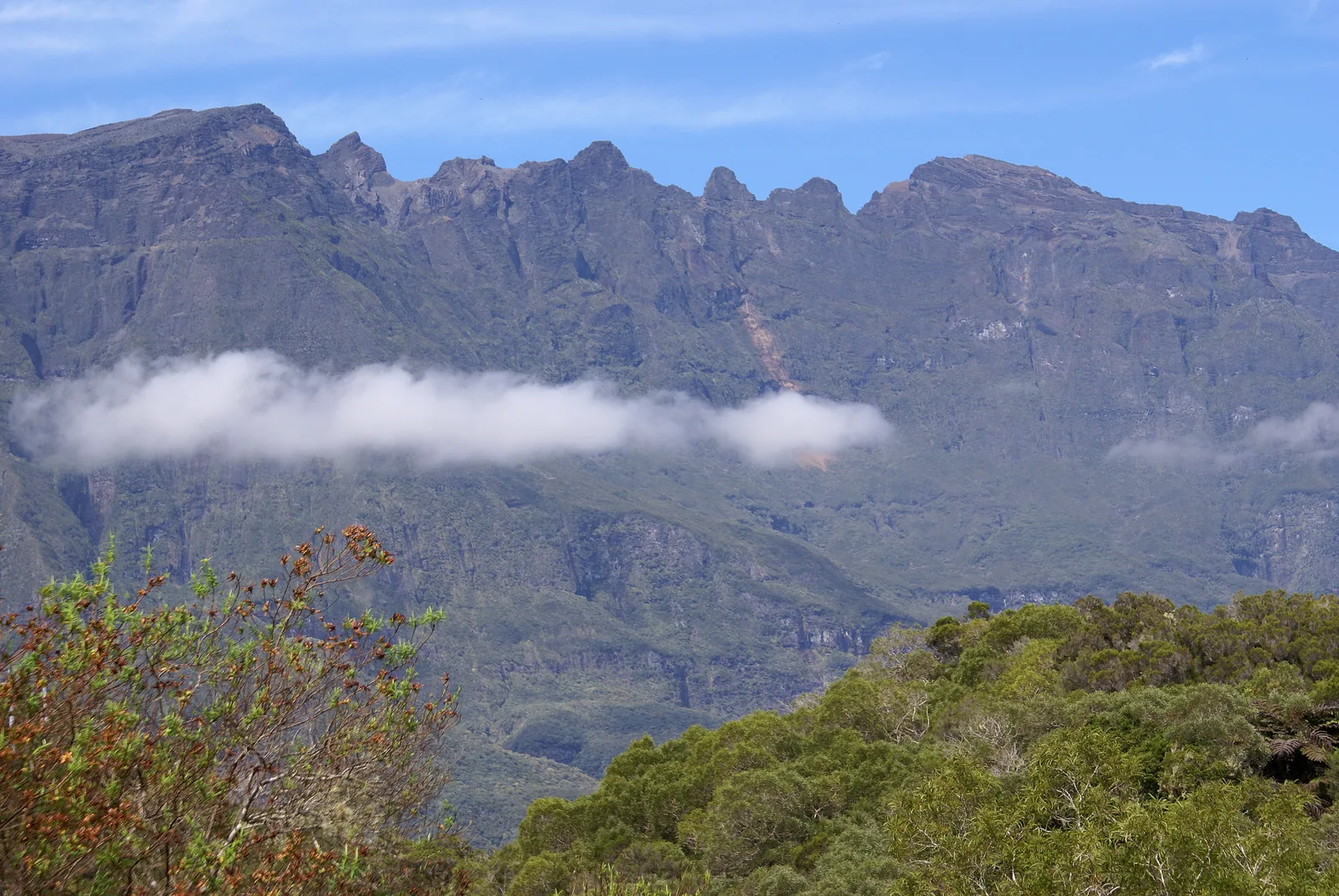 The summits of the Piton des Neiges massif seen across the Bélouve forest under cloud