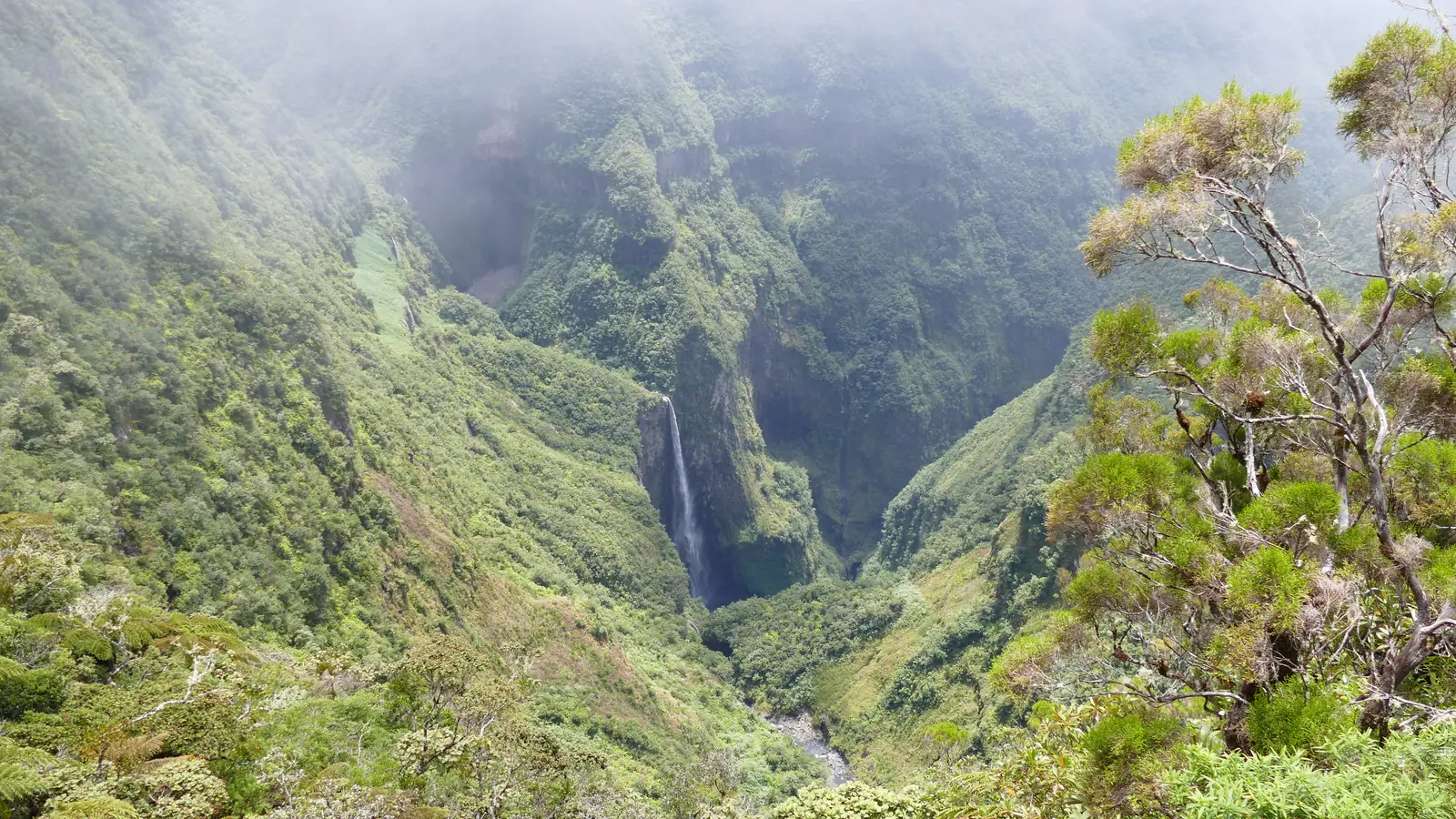 The waterfalls of the Trou de Fer plunging into a deep forested gorge on Réunion