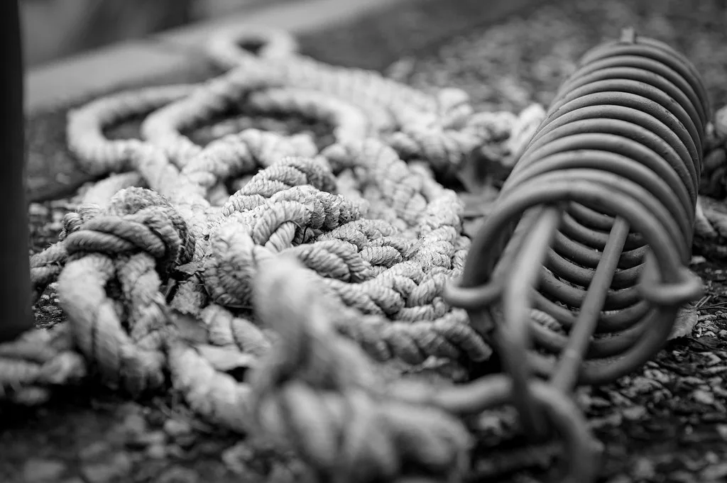 Street scene in Rostock