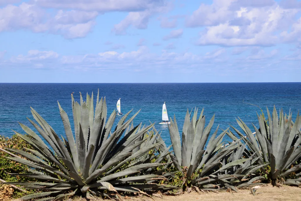 Royal Beach Club Antigua cultural highlight