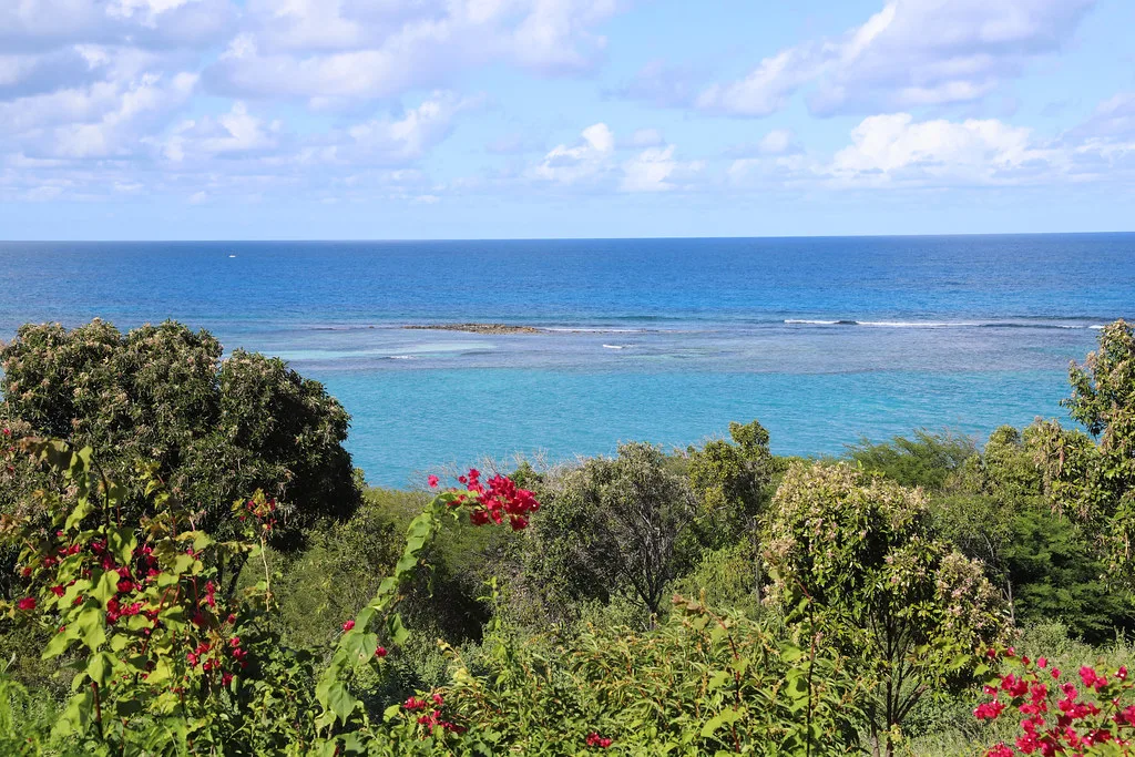 Royal Beach Club Antigua harbor and waterfront