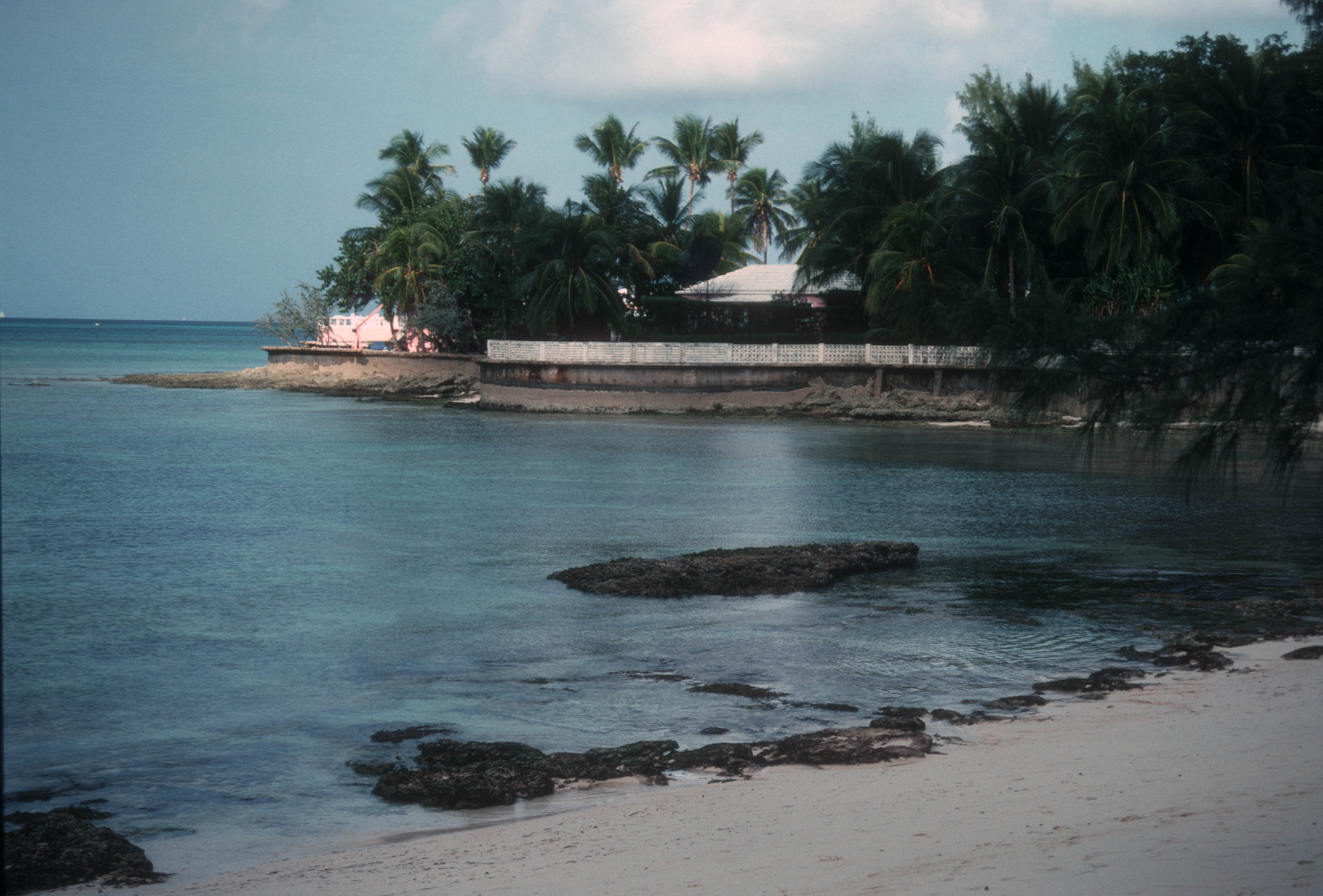 Panoramic view of white sand beach with turquoise water and palm trees